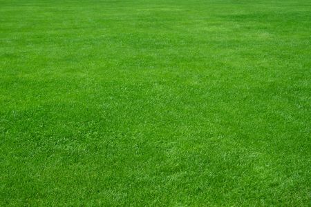 Top 3 Benefits Of Professional Lawn Care Services 