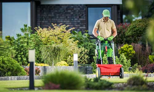 Oxford lawn care