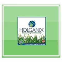 holganix Logo